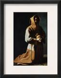 St Francis Of Assisi