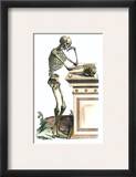 Vesalius: Skeleton  1543