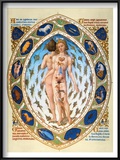 Anatomical Man