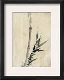 Japan: Bamboo  C1830-1850