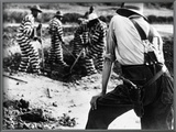 Georgia: Prisoners  1941