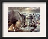 Dali: Enigma  20Th Century