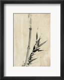 Japan: Bamboo  C1830-1850