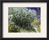 Van Gogh: Lilacs  19Th C