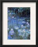 Monet: Waterlilies