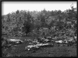 Little Round Top