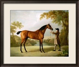 Tristram Shandy  a Bay Racehorse Held by a Groom in an Extensive Landscape  circa 1760