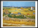 Van Gogh: Wheatfield  1888