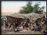 Holy Land: Bedouin Camp