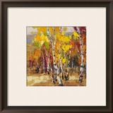Aspen Gold I