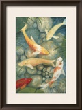 Reflecting Koi II