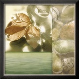Zen Elements I
