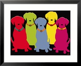 Five Labs