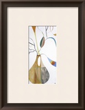Flora Botanica II