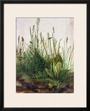 Large Piece of Turf  1503