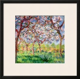 Printemps a Giverny  1903
