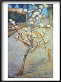 Van Gogh: Peartree  1888