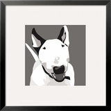 Bull Terrier