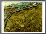 Van Gogh: Field  1890