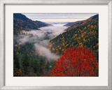 Autumn View of Fog from Morton Overlook  Great Smoky Mountains National Park  Tennessee  USA