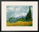 Wheatfield with Cypresses  c1889