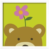 Peek-a-Boo VI  Bear