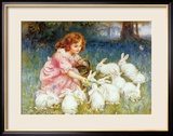 Feeding the Rabbits