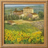 Provencal Village III
