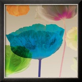 Poppy Panorama II