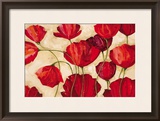Poppy Field I