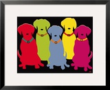 Five Labs