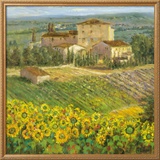 Provencal Village III