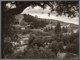 Mount Of Olives