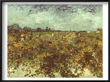 Van Gogh: Vineyard  1888