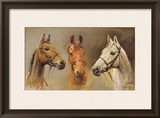 We Three Kings