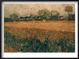 Van Gogh: Arles  1888