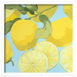 Fresh Lemons
