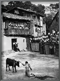 Spain: Bullfight
