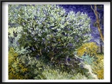 Van Gogh: Lilacs  19Th C