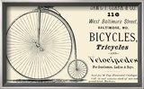 Bicycles  Tricycles  and Velocipedes