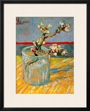 Blossoming Almond Branch in a Glass  c1888
