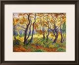 Edge of the Forest