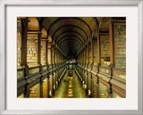 Gallery of the Old Library  Trinity College  Dublin  County Dublin  Eire (Ireland)