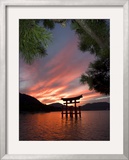 Torii Shrine Gate in the Sea  Miyajima Island  Honshu  Japan