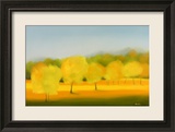 Sunlight Returns II