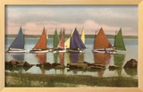 Rainbow Fleet  Nantucket  Massachusetts
