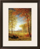 Autumn in America  Oneida County  New York