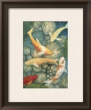 Reflecting Koi II