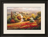 Vineyard View I
