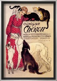 Clinique Cheron  Veterinary Medicine and Hotel
